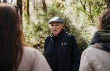 Arthur's Pass Discovery and TranzAlpine Train - Small Group Tour