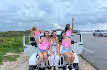 Island Tour in Cozumel, Mayan Show & Tacos