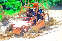  Extreme Jungle Buggy Ride with Coffee and Chocolate Tasting