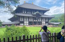 Nara Walking Tour: Deer Park, Todaiji, Kasuga & Nigatsudo