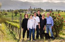 Guided Winery Tour and Private Tasting in Montefalco