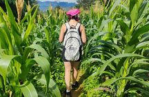 Full Day Private Trekking Mu Cang Chai