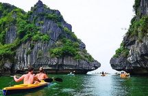  Halong Bay Cruises many options