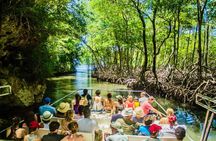 Los Haitises N. Park, Yanigua Waterfall & Montaña Redonda Tour