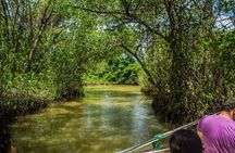 Los Haitises N. Park, Yanigua Waterfall & Montaña Redonda Tour