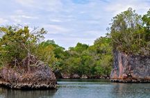 Los Haitises N. Park, Yanigua Waterfall & Montaña Redonda Tour