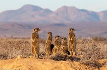 Oudtshoorn PRIVATE TOUR - Full Day