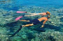 Tiran Island, Snorkeling with Transfers & Lunch - Sharm El Sheikh