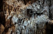 Safari at Rhino and Lion Park and Visit Wonder Caves