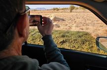 Safari at Rhino and Lion Park and Visit Wonder Caves