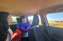 Safari at Rhino and Lion Park and Visit Wonder Caves