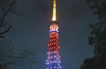 Private Tour in Tokyo with English speaking driver 