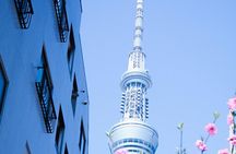 Private Tour in Tokyo with English speaking driver 