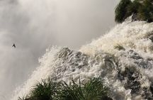 Total Iguassu Tour