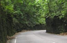 Ocho Rios City Day Experience