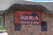 Cape Town Full Day Private Big 5 Safari at Aquila Game Reserve