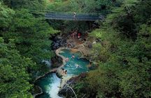 Private Tour to Oropendola Waterfall and Hot Springs with Lunch