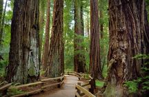 San Francisco Alcatraz Island and Guided Muir Woods Tour