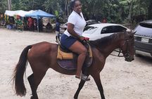 Jamaica Horse Ride Tour with Lunch and Shopping