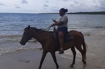 Jamaica Horse Ride Tour with Lunch and Shopping