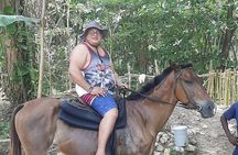 Jamaica Horse Ride Tour with Lunch and Shopping