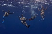 Private Whale Watching Adventure in Mo'orea