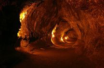 Big Island Half-Day Tour with Lunch