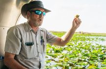 From Miami: Everglades at Night with Airboat and Alligators Tour