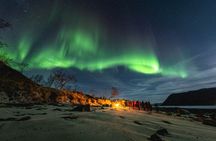 Northern Lights in Focus Tour by Minibus, German/ English, Meal