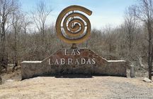 Las Labradas Archaeological Site - Nature and History Tour