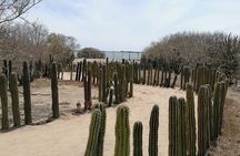 Las Labradas Archaeological Site - Nature and History Tour
