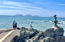 Mazatlan van for hire at cruise terminal – Bilingual Driver Incl.