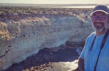 Sea Lions at Punta Loma and City Tour from Puerto Madryn