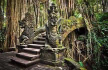 Full Day Ubud trip ATV Monkey Forest Tegalalang Rice Terrace 