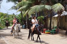 Roatan Combo Horseback Ride with Zip Line Wildlife and Snorkel