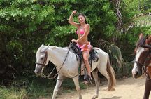 Roatan Combo Horseback Ride with Zip Line Wildlife and Snorkel