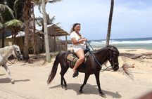 Roatan Combo Horseback Ride with Zip Line Wildlife and Snorkel