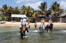 Roatan Combo Horseback Ride with Zip Line Wildlife and Snorkel