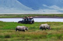 Full Day Private Ngorongoro Crater Safari starting in Arusha