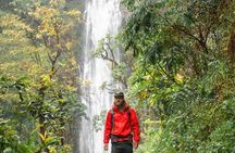 Private Materuni Waterfalls, Coffee Tour and Kikuletwa Hot Spring