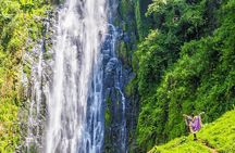 Private Materuni Waterfalls, Coffee Tour and Kikuletwa Hot Spring