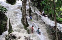 Day Tour Small Group Elephant Sanctuary and Fun Sticky Waterfall