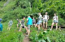 Private Materuni Waterfalls, Coffee Tour and Kikuletwa Hot Spring