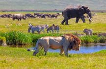 6 Days Tour at Lake Manyara, Serengeti, Crater & Tarangire 