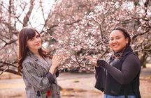 Small Group Shinjuku Gyoen Walking Tour