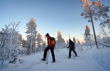 Snowshoeing in Snowy Forest with Local Guide