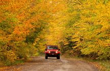 Cape Breton Fall Colours Tour On and Off Road
