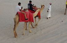 Private-Doha Horse Ride/Camel Ride/Quad Bike All Inclusive Tour