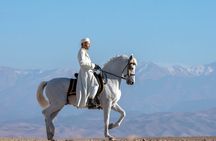 Horseback Riding Adventure in Palmeraie Grove 2 hours -Marrakech