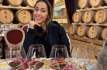 Tuscan Lunch and Wine Tasting in San Gimignano Winery